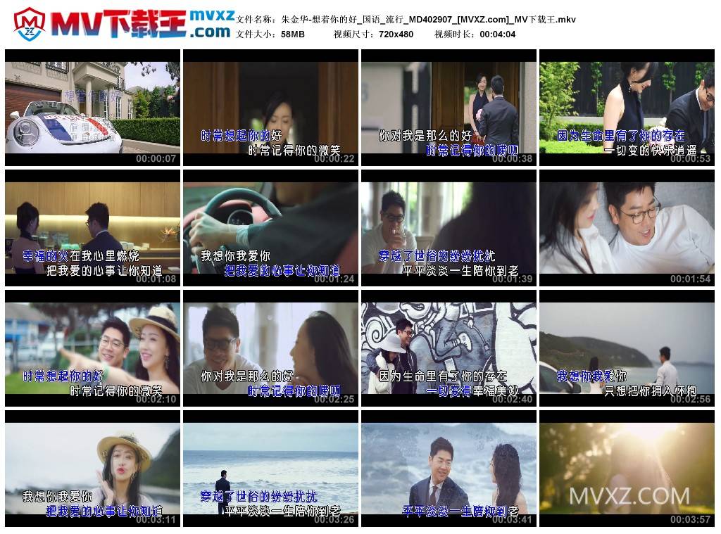 朱金华-想着你的好_国语_流行_MD402907